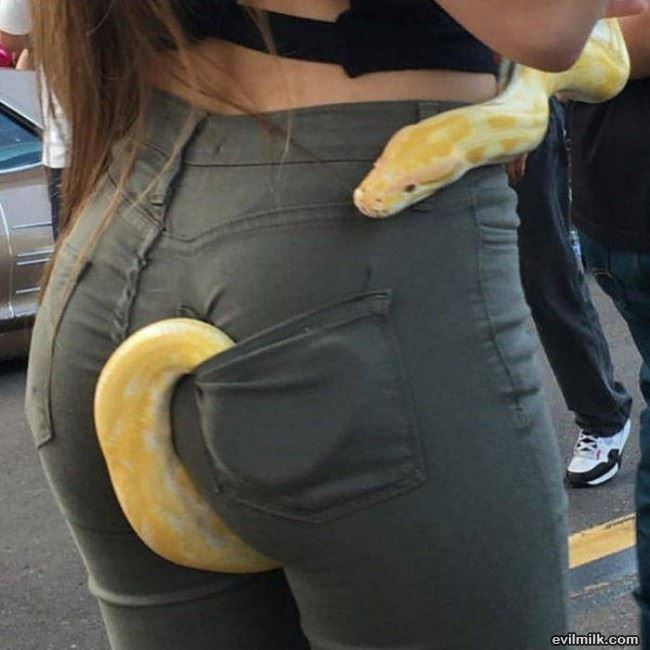 Is That A Snake In Your Pocket