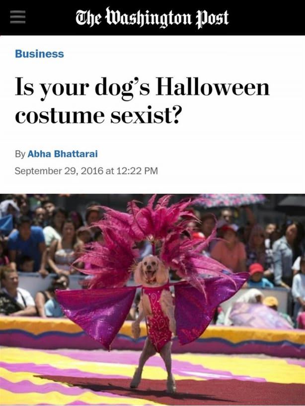 Is Your Dogs Halloween Costume Sexist