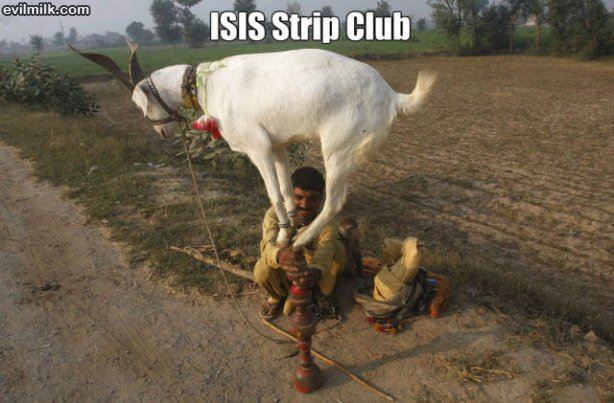 Isis Strip Club