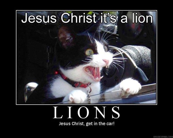 Jesus Christ Its A Lion