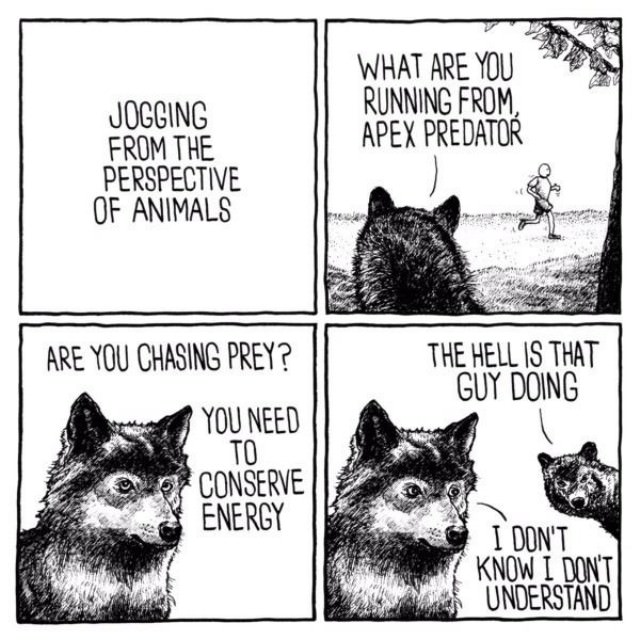Jogging From An Animals Perspective