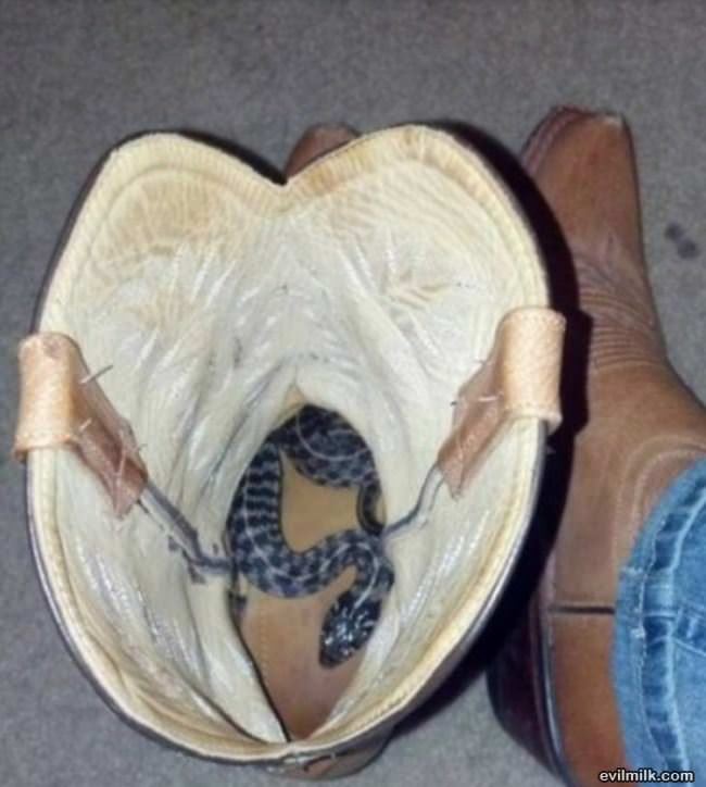 Just Putting My Boots On