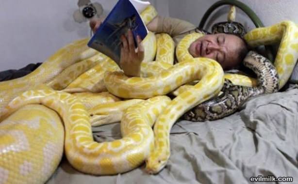 Just Reading A Story