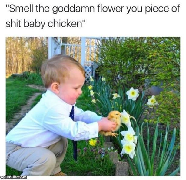 Just Smell It