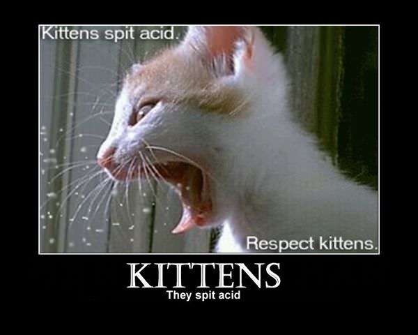 Kittens Spit Acid
