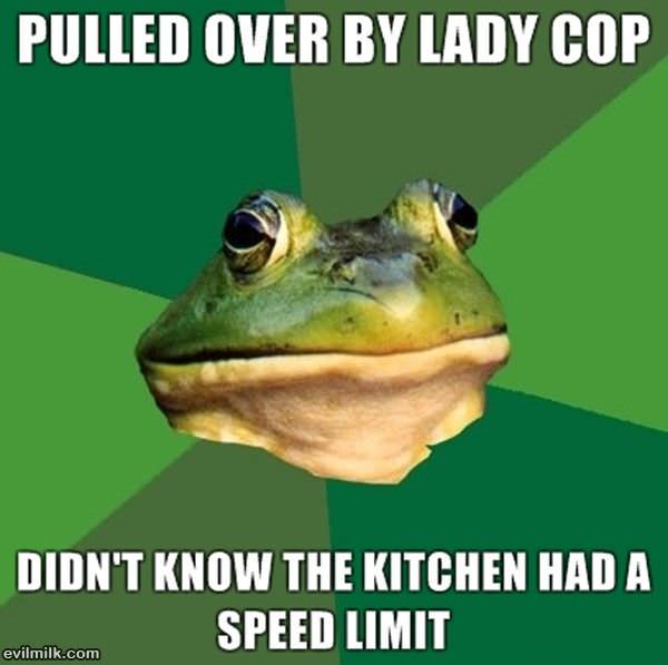 Lady Cop