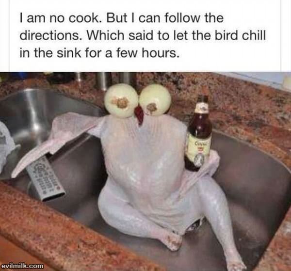 Let The Bird Chill