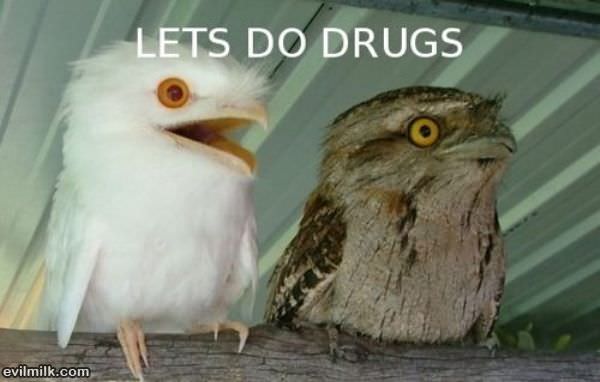 Lets Do Drugs