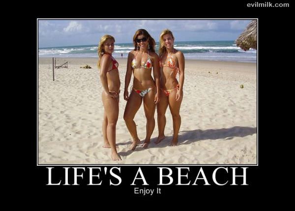 Lifes A Beach