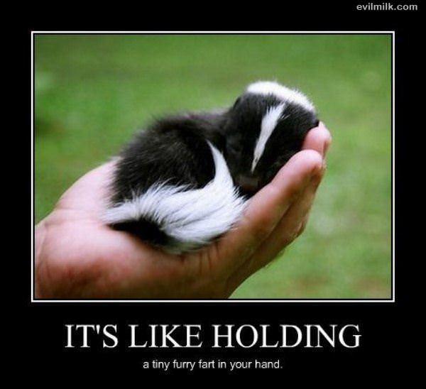 Like Holding