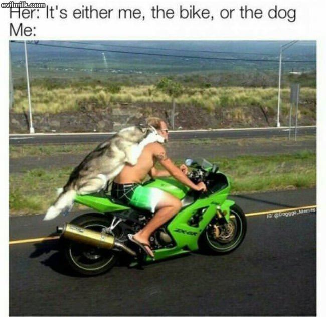 Me The Bike Or The Dog