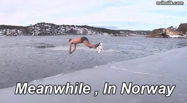 Meanwhile_In_Norway.jpg