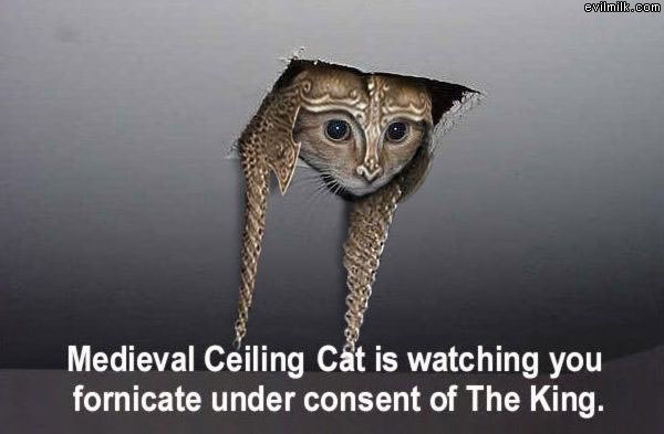 Medieval_Cat.jpg
