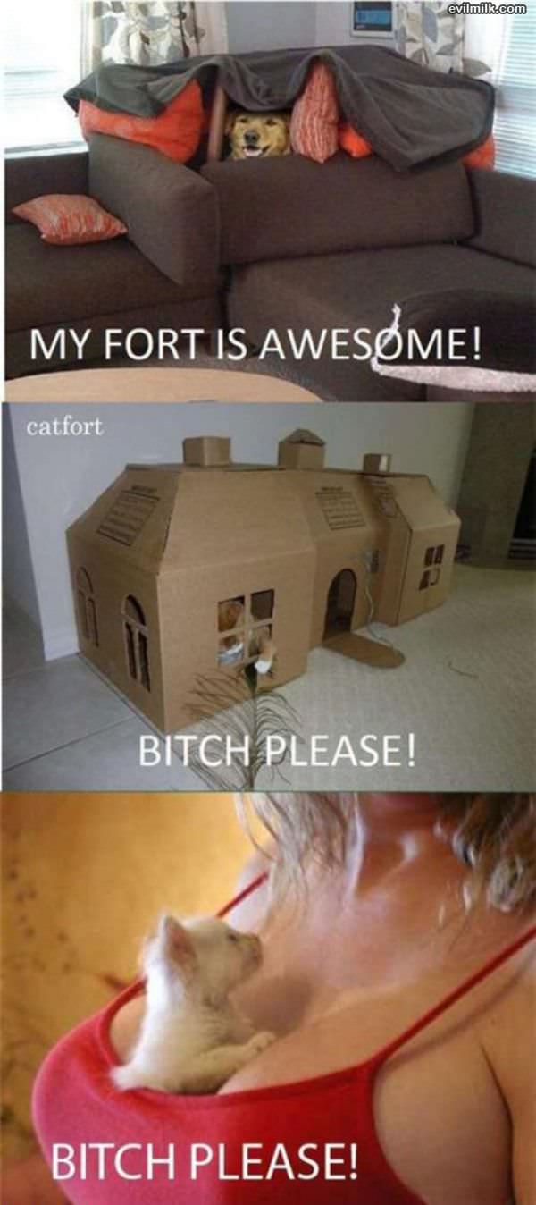 My Fort