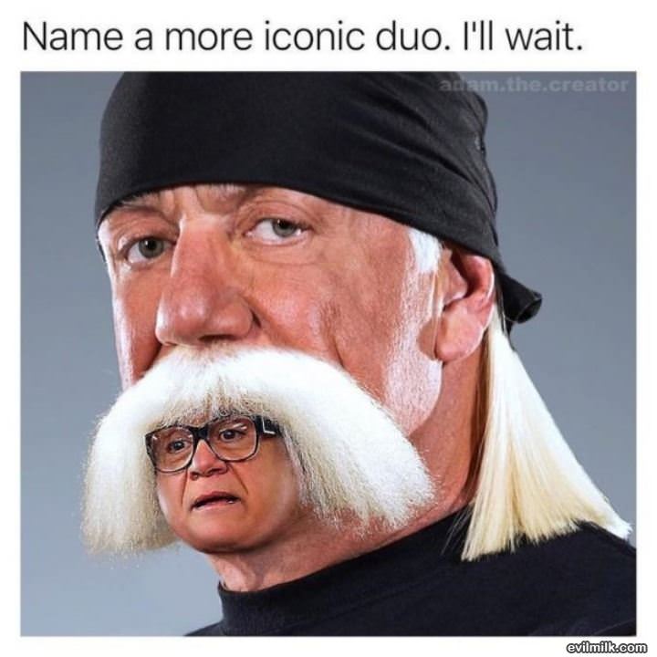 Name A More Iconic Duo