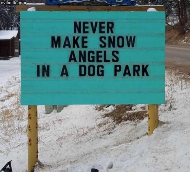Never Make Snow Angels In A Dog Park