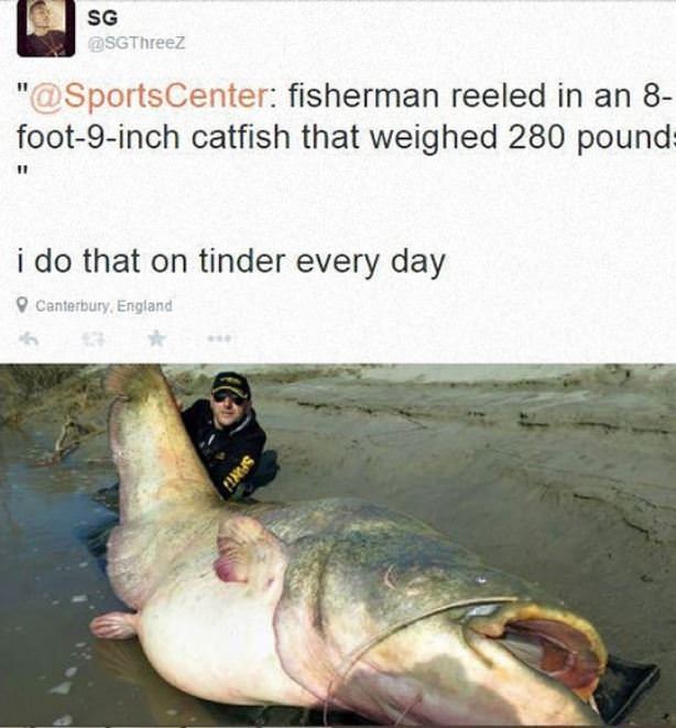 Nice Catch