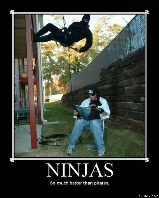 Ninjas And Pirates