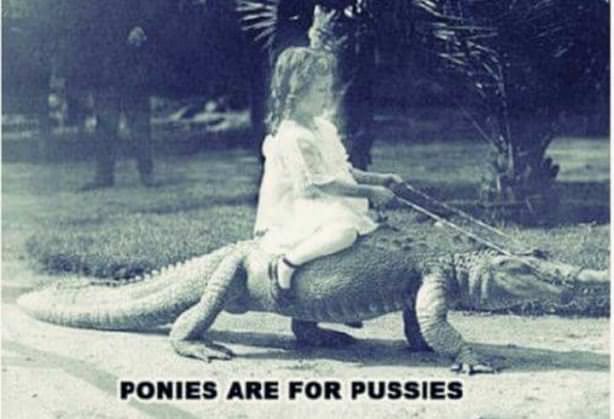 No Ponies For This Girl