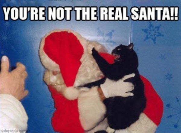 Not The Real Santa