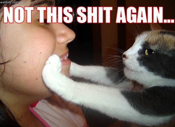 image: Not_This_Shit_Again