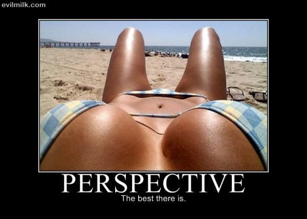 Perspective