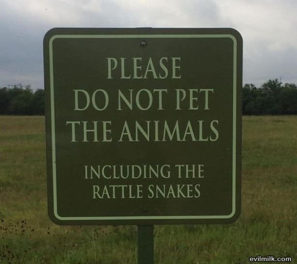 Please Do Not Pet