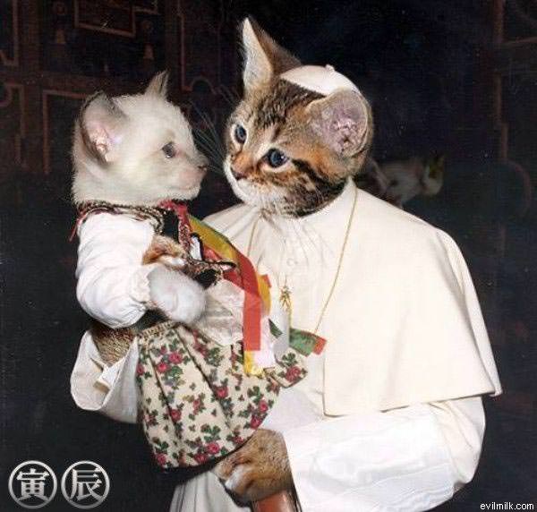 Pope Cat