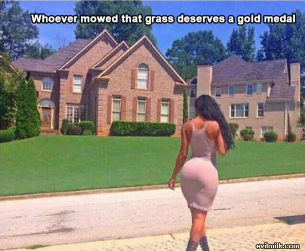 Really Nice Grass