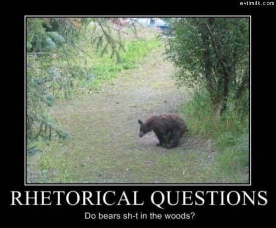 Rhetorical_Questions.jpg