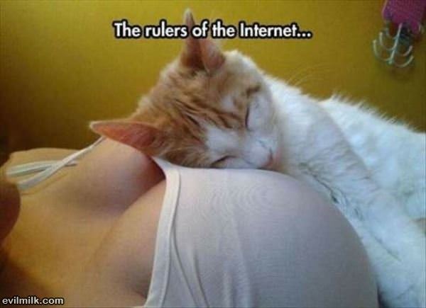 Rulers Of The Internet