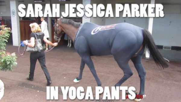 Sarah Jessica Parker Yoga Pants
