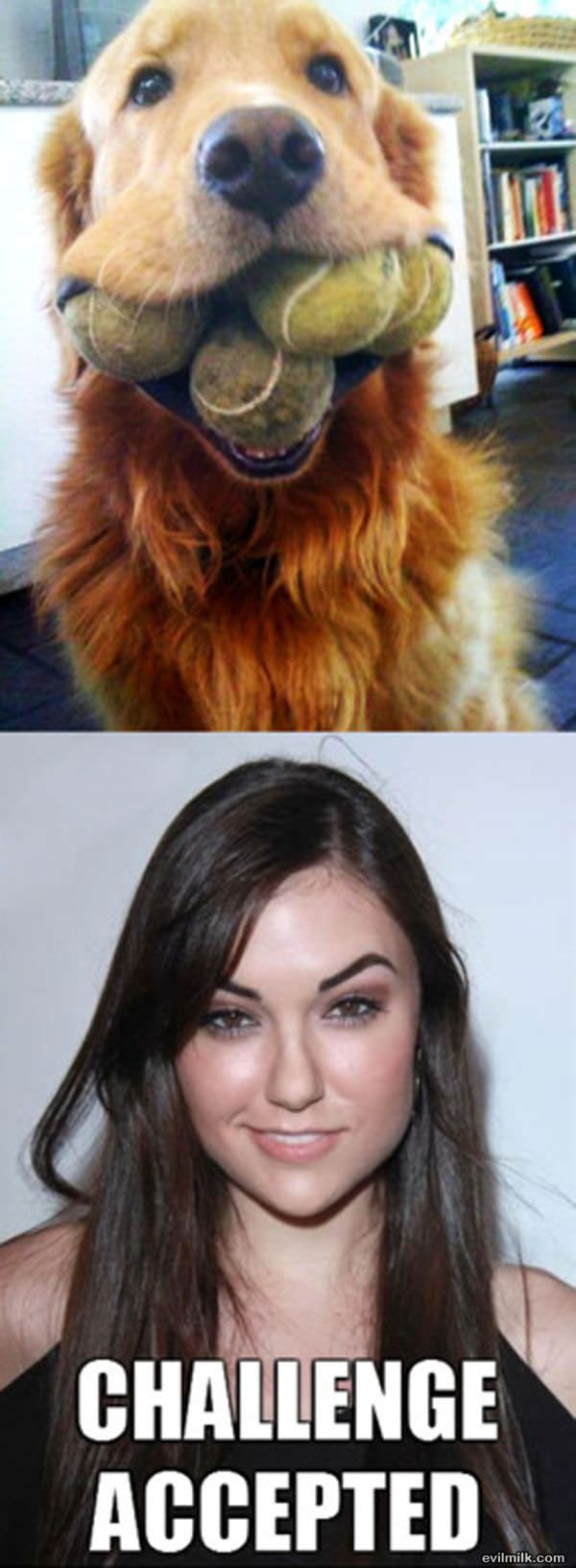 Sasha Grey Challenge Accepted