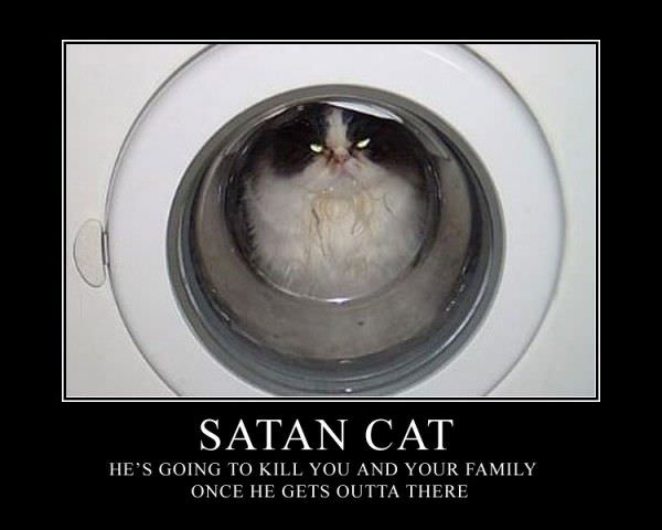 Satan_Cat.jpg