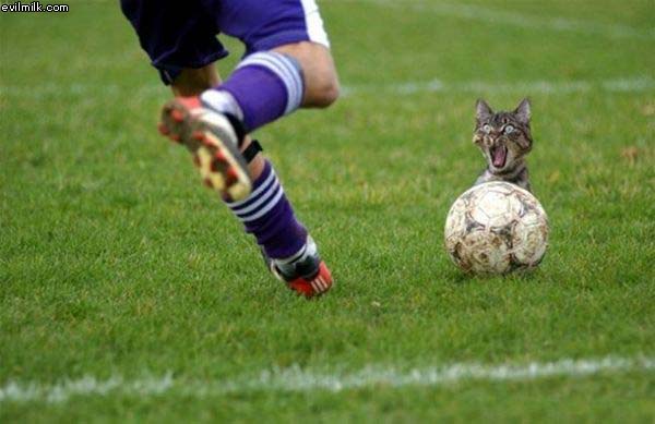 Scary Soccer