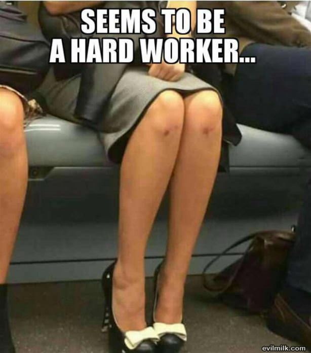 Seems-like-a-hard-worker