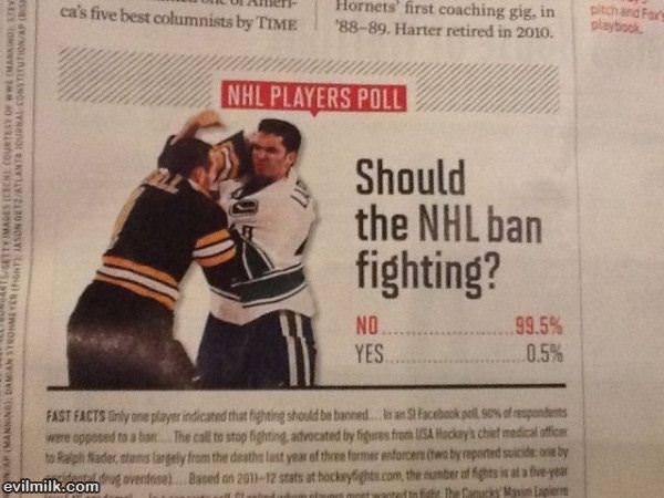 Should The Nhl Ban Fighting