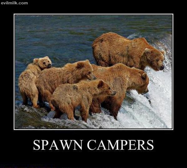 Spawn Campers
