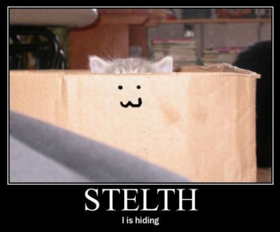 Stealth