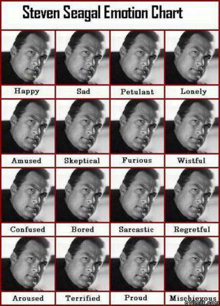 Steven Seagal Emotions