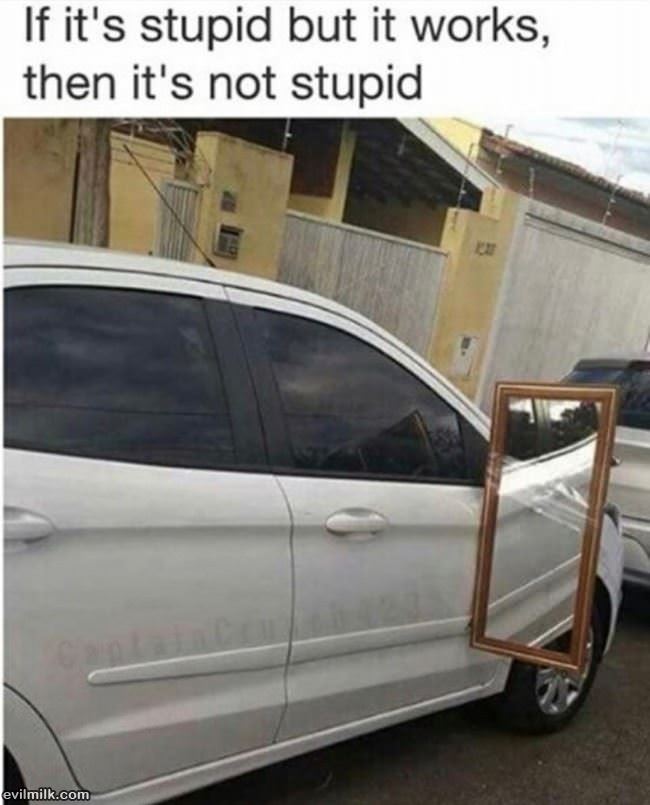 Stupid But It Works