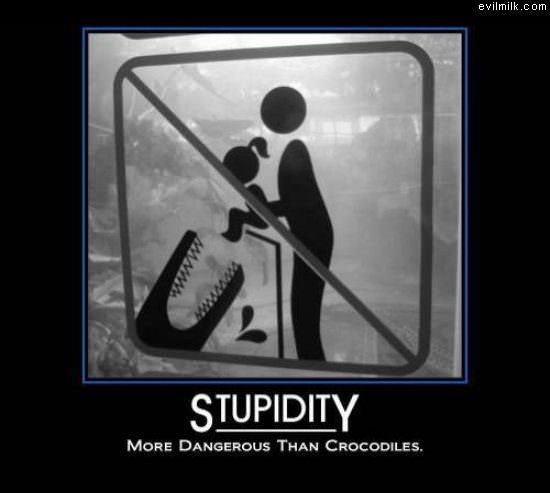 Stupidity Is Dangerous