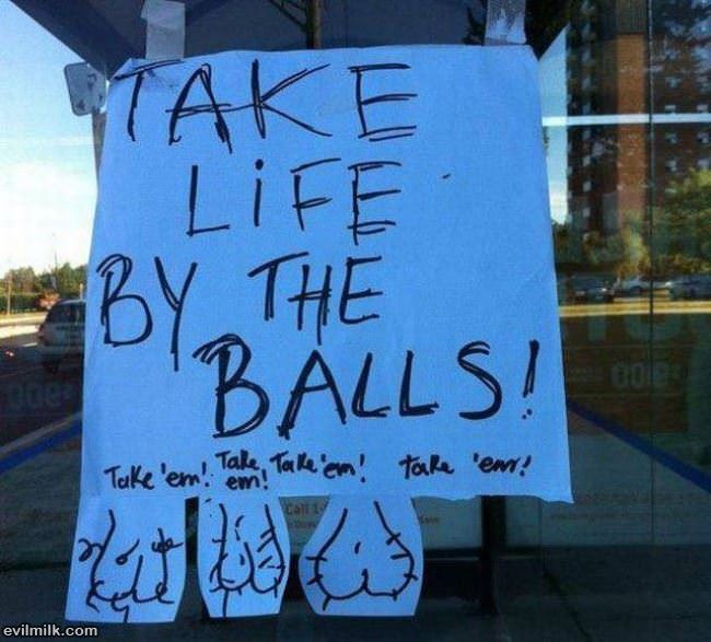 Take Life By The Balls