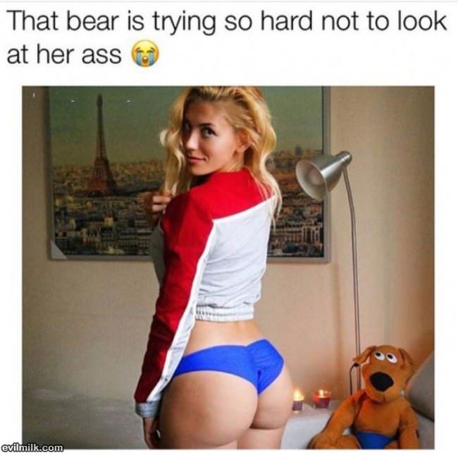 That Bear Is Trying So Hard