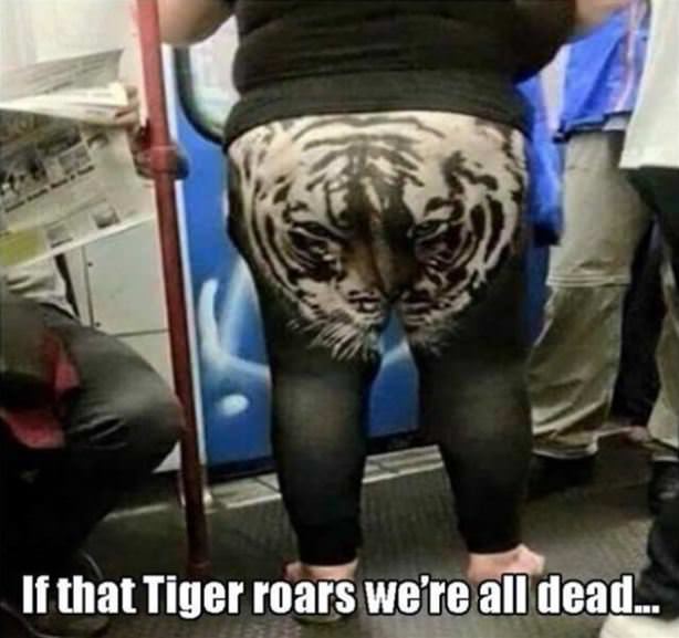 That Tiger
