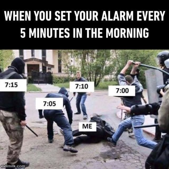 The Alarm In The Morning