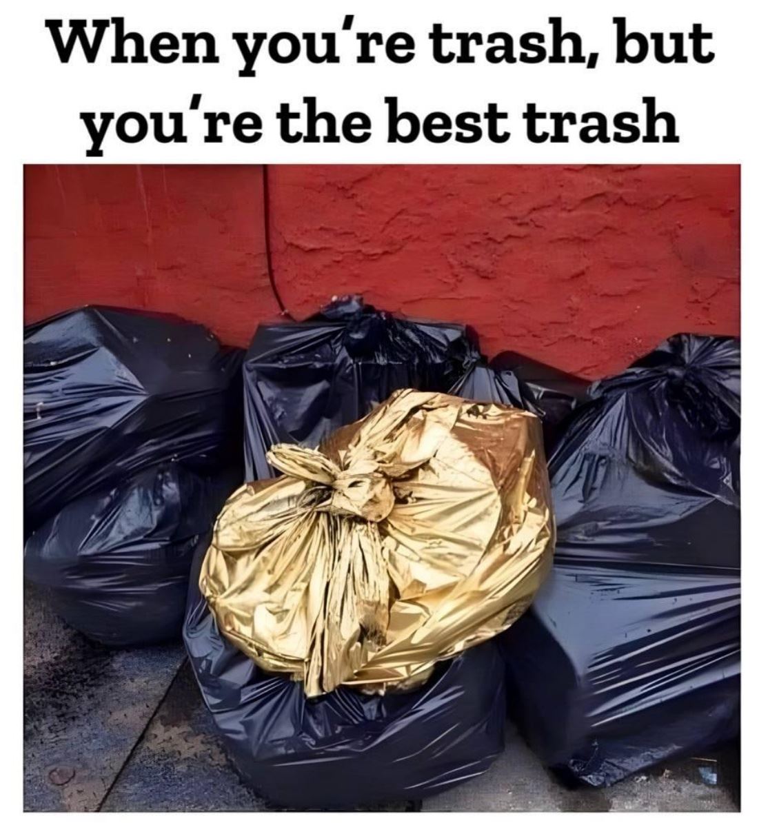The Best Trash