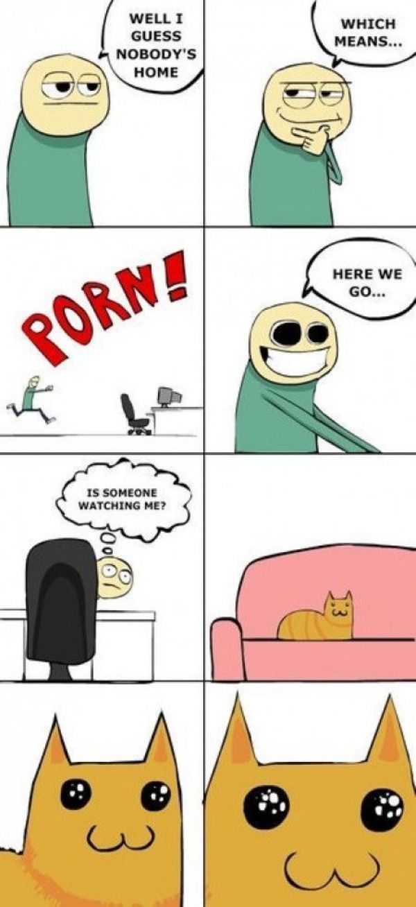 The_Damn_Cat.jpg