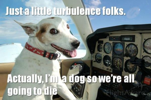 The Dog Pilot