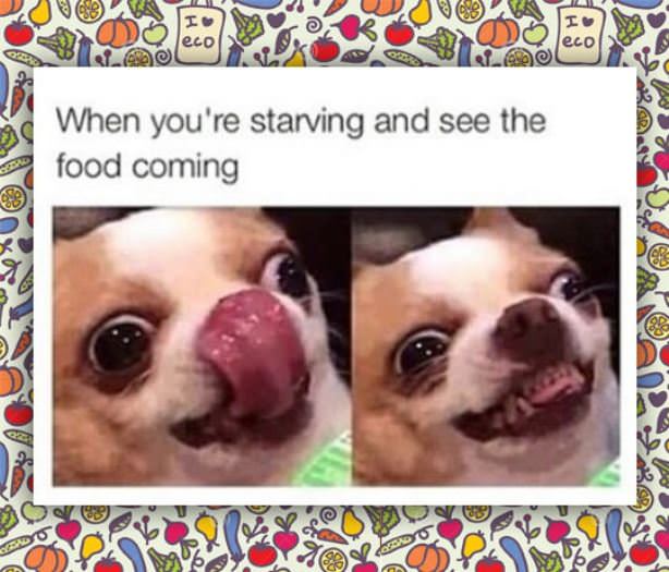 The Food Is Coming